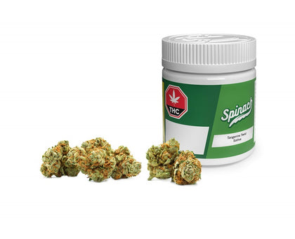 Spinach Tangerine Twist 3.5g Dried Flower