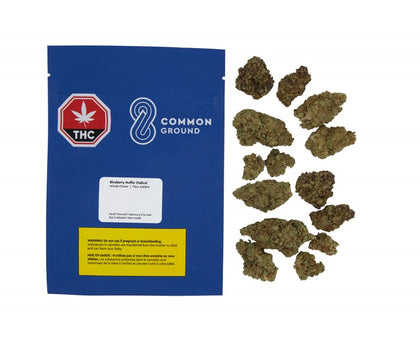 Common Ground Blueberry Muffin 14g Dried Flower