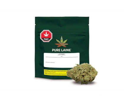 Pure Laine Big Pleasures (Sativa) 28g Dried Flower