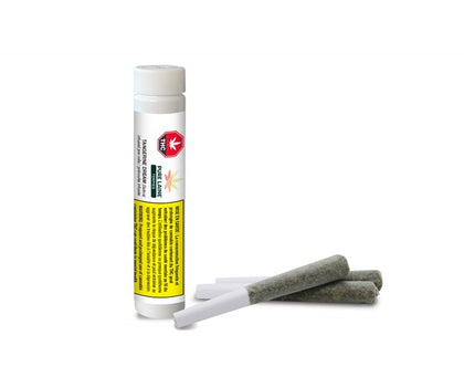 Pure Laine Terpies Tangerine Dream 3 x 0.5g Infused Pre-Rolls