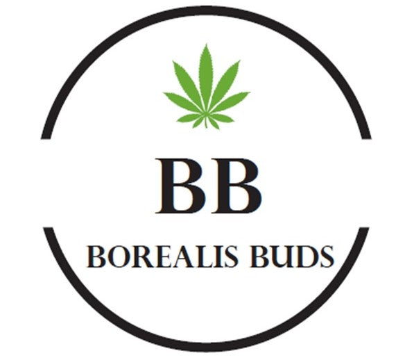 Kazoo Toasted Cinnamon Crunch 1g Disposable Vape Pen – Borealis Buds