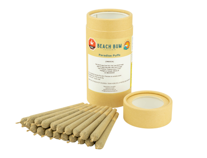 Beach Bum Paradise Puffs 20 x 1g Pre-Rolls