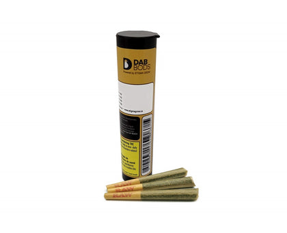 Dab Bods Orange Hill 3 x 0.5g Shatter Infused Pre-Rolls