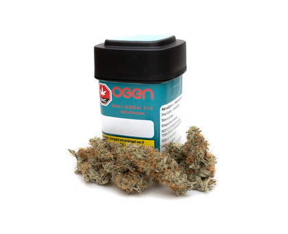 OGEN dosi-GMOsi #13 - 3.5g Dried Flower